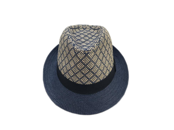 GK1019 navy checked
